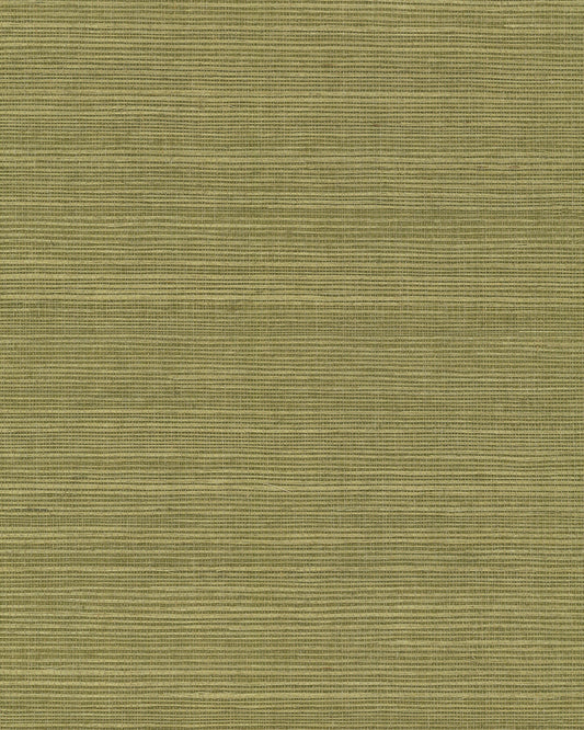 York Wallcoverings Grasscloth and Natural Resource Maguey Sisal Fern Wallpaper Traditional Grasscloth Greens   - GV0145NW