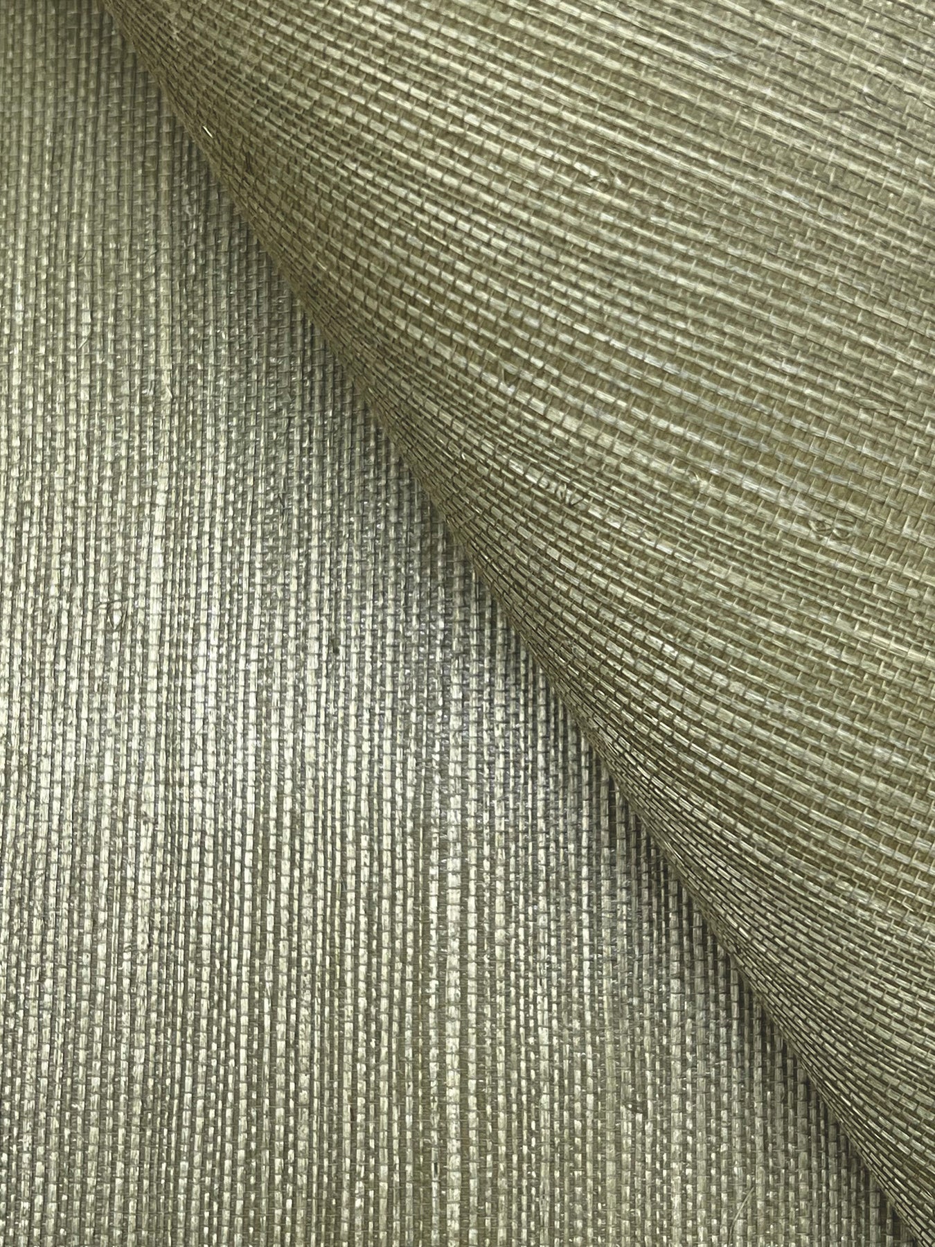 York Wallcoverings Grasscloth and Natural Resource Maguey Sisal Fern Wallpaper Traditional Grasscloth Greens   - GV0145NW