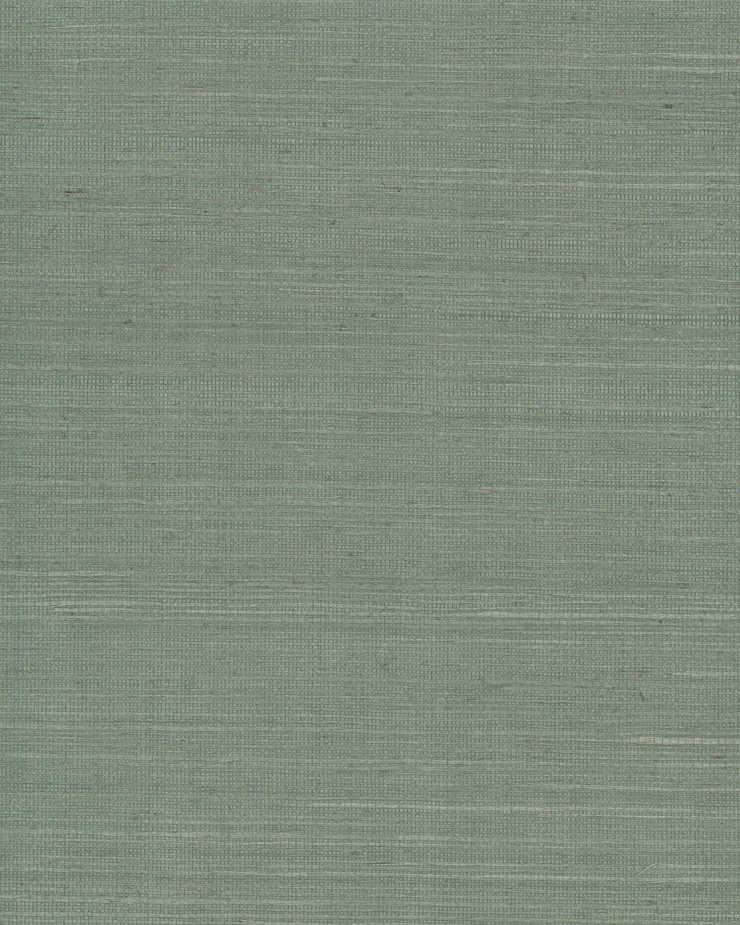 York Wallcoverings Grasscloth and Natural Resource Maguey Sisal Sage Wallpaper Traditional Grasscloth Greens   - GV0146NW