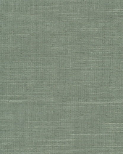 York Wallcoverings Grasscloth and Natural Resource Maguey Sisal Sage Wallpaper Traditional Grasscloth Greens   - GV0146NW