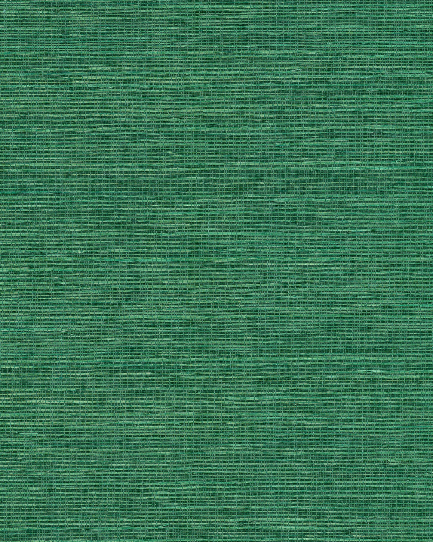 York Wallcoverings Grasscloth and Natural Resource Maguey Sisal Jade Wallpaper Traditional Grasscloth Greens   - GV0147NW
