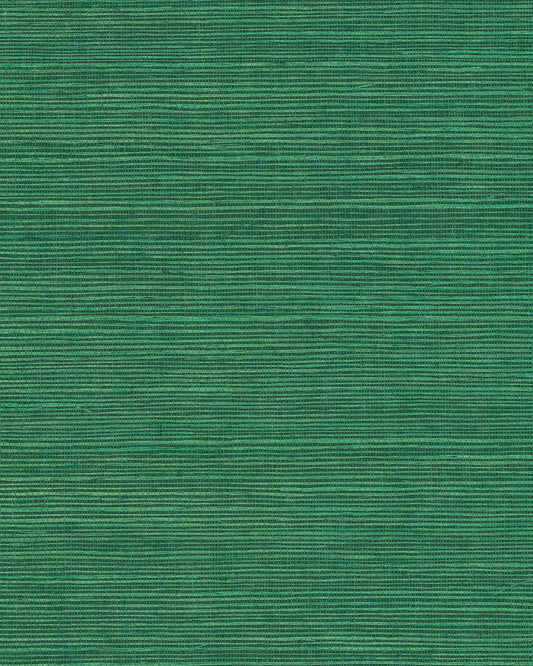 York Wallcoverings Grasscloth and Natural Resource Maguey Sisal Jade Wallpaper Traditional Grasscloth Greens   - GV0147NW