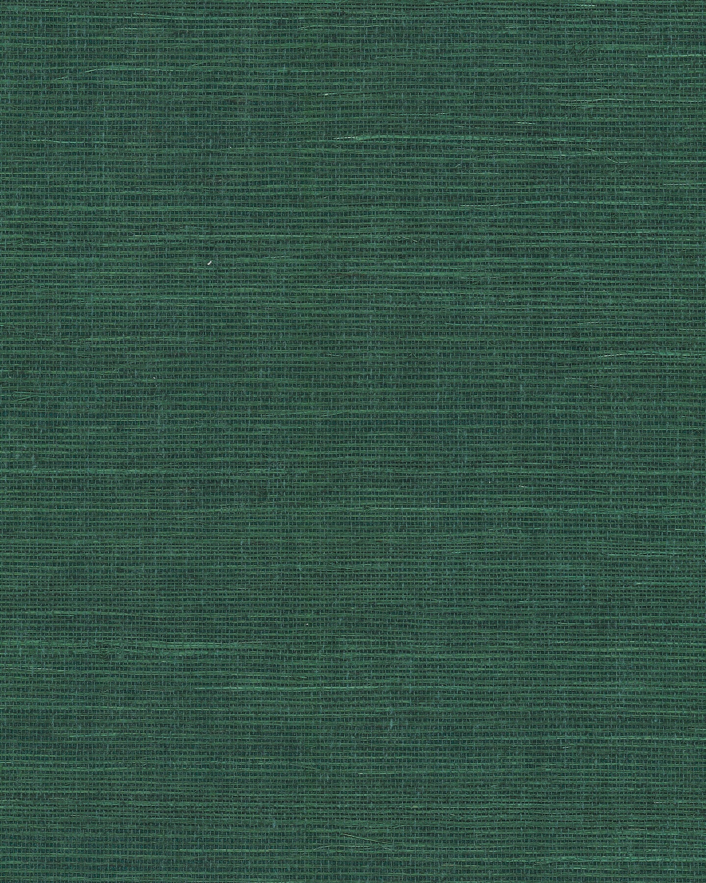 York Wallcoverings Grasscloth and Natural Resource Maguey Sisal Forest Wallpaper Traditional Grasscloth Greens   - GV0148NW