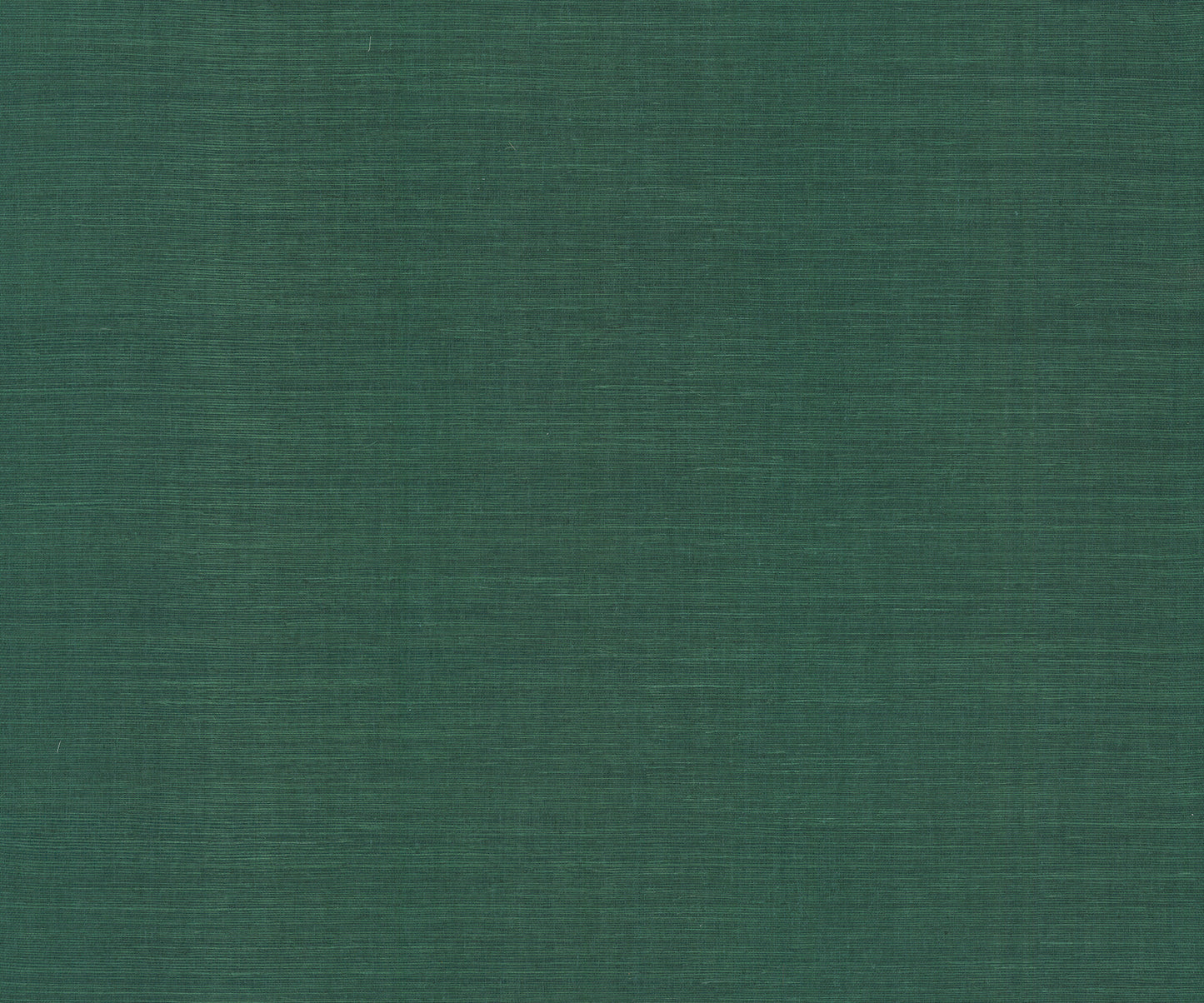 York Wallcoverings Designer Sisals Fan Deck Maguey Sisal Forest Wallpaper Traditional Grasscloth Greens   - GV0148NWFD