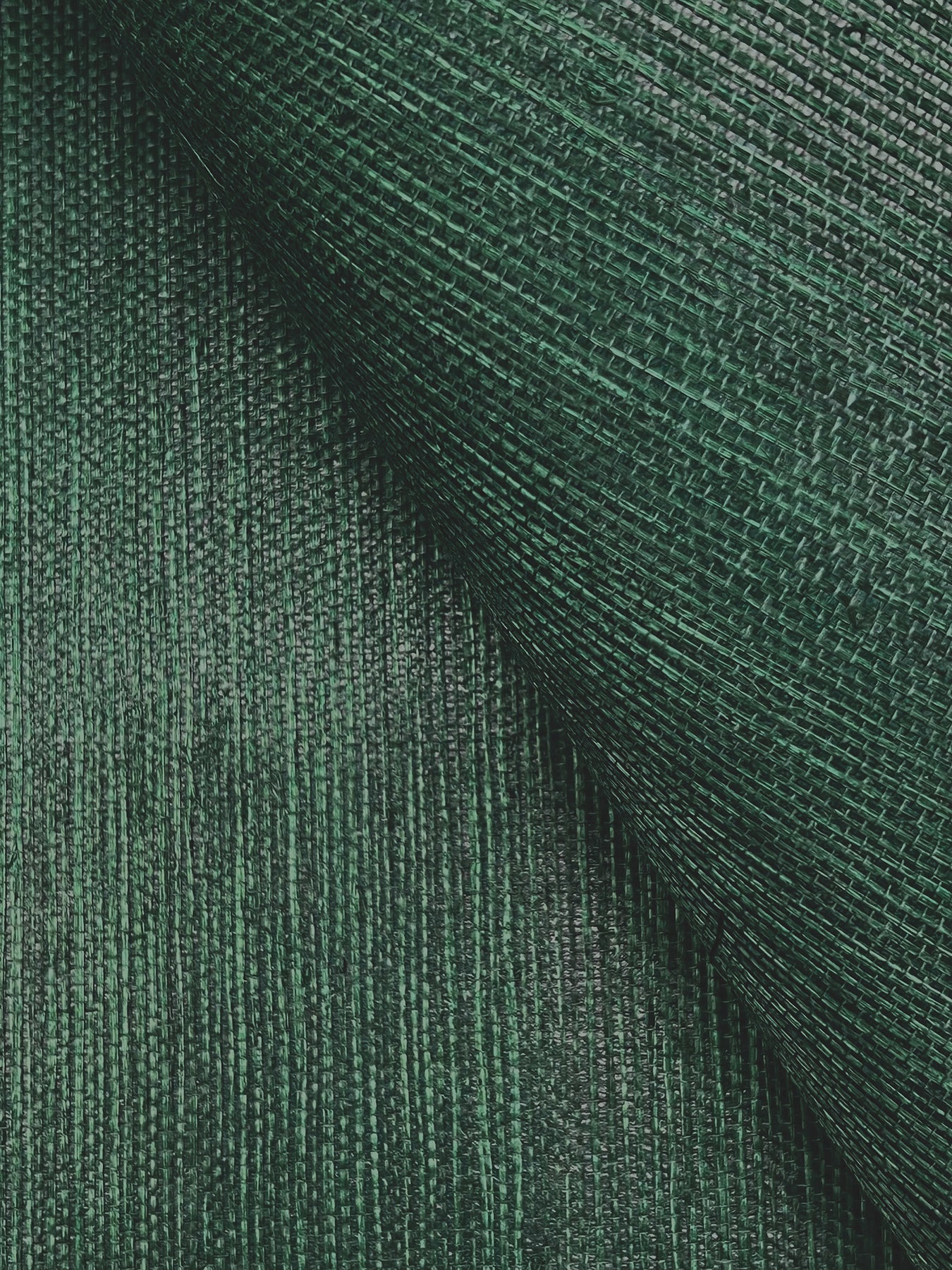 York Wallcoverings Grasscloth and Natural Resource Maguey Sisal Forest Wallpaper Traditional Grasscloth Greens   - GV0148NW