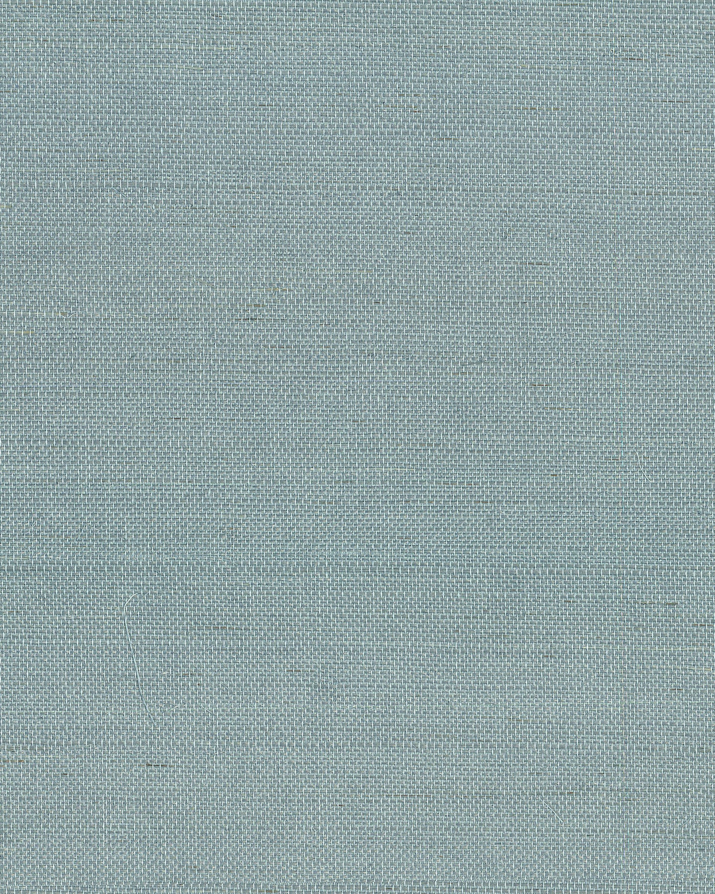 York Wallcoverings Grasscloth and Natural Resource Maguey Sisal Dragonfly Wallpaper Traditional Grasscloth Blues   - GV0153NW