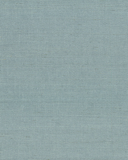 York Wallcoverings Grasscloth and Natural Resource Maguey Sisal Dragonfly Wallpaper Traditional Grasscloth Blues   - GV0153NW