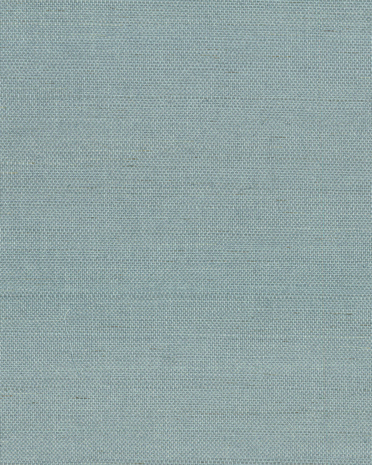 York Wallcoverings Grasscloth and Natural Resource Maguey Sisal Dragonfly Wallpaper Traditional Grasscloth Blues   - GV0153NW