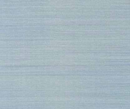 York Wallcoverings Designer Sisals Fan Deck Maguey Sisal Sky Wallpaper Traditional Grasscloth Blues   - GV0159NWFD