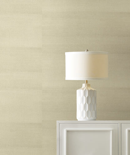 York Wallcoverings Grasscloth and Natural Resource Maguey Sisal Oat Wallpaper Traditional Grasscloth Beiges   - GV0173NW