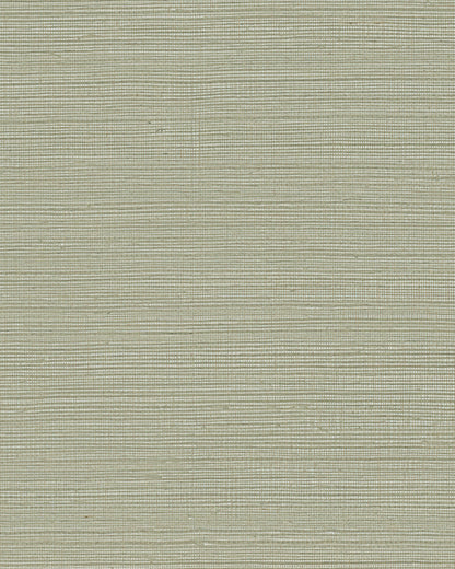 York Wallcoverings Grasscloth and Natural Resource Maguey Sisal Putty Wallpaper Traditional Grasscloth Browns   - GV0175NW