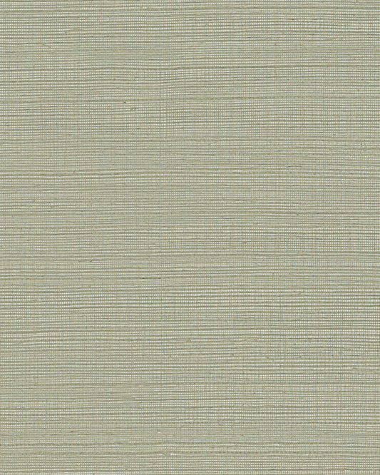 York Wallcoverings Grasscloth and Natural Resource Maguey Sisal Putty Wallpaper Traditional Grasscloth Browns   - GV0175NW
