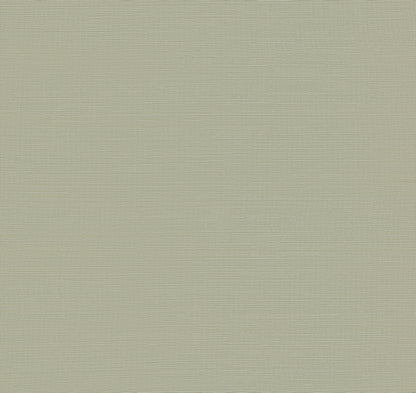 York Wallcoverings Designer Sisals Fan Deck Maguey Sisal Putty Wallpaper Traditional Grasscloth Browns   - GV0175NWFD