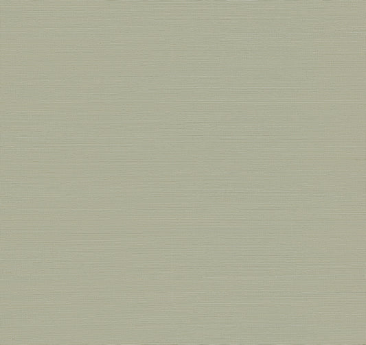 York Wallcoverings Designer Sisals Fan Deck Maguey Sisal Putty Wallpaper Traditional Grasscloth Browns   - GV0175NWFD