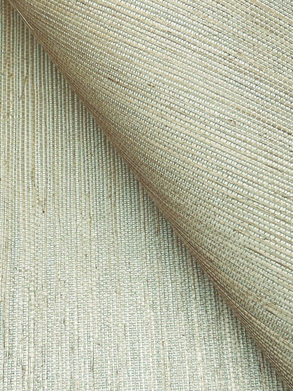 York Wallcoverings Grasscloth and Natural Resource Maguey Sisal Putty Wallpaper Traditional Grasscloth Browns   - GV0175NW