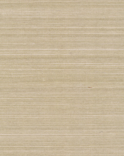 York Wallcoverings Grasscloth and Natural Resource Maguey Sisal Mushroom Wallpaper Traditional Grasscloth Browns   - GV0176NW