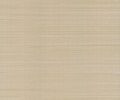 York Wallcoverings Designer Sisals Fan Deck Maguey Sisal Mushroom Wallpaper Traditional Grasscloth Browns   - GV0176NWFD