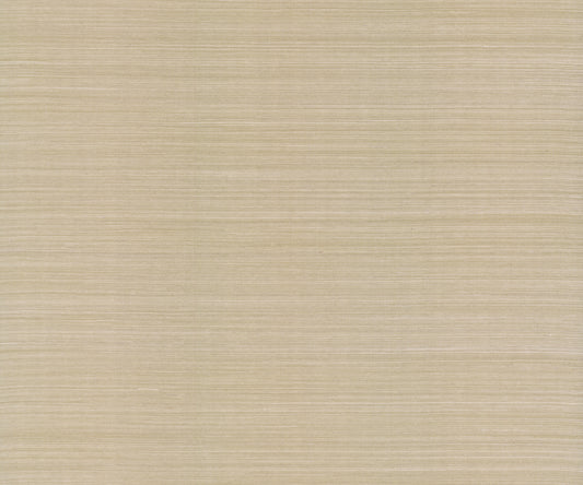 York Wallcoverings Designer Sisals Fan Deck Maguey Sisal Mushroom Wallpaper Traditional Grasscloth Browns   - GV0176NWFD