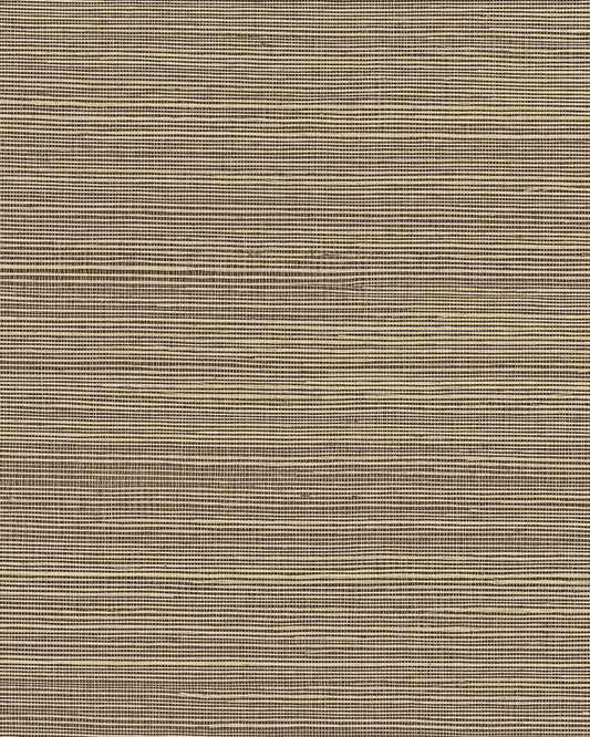 York Wallcoverings Grasscloth and Natural Resource Maguey Sisal Black Wallpaper Traditional Grasscloth Browns   - GV0177NW