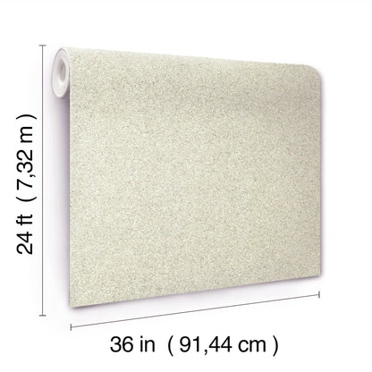York Wallcoverings Grasscloth and Natural Resource Terra Mica Crystal Wallpaper Traditional Raised Prints Whites and Off-Whites   - GV0211
