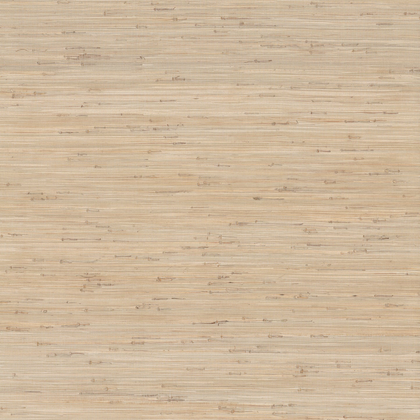 York Wallcoverings Grasscloth and Natural Resource Knotted Grass Natural Wallpaper Traditional Grasscloth Beiges   - GV0231