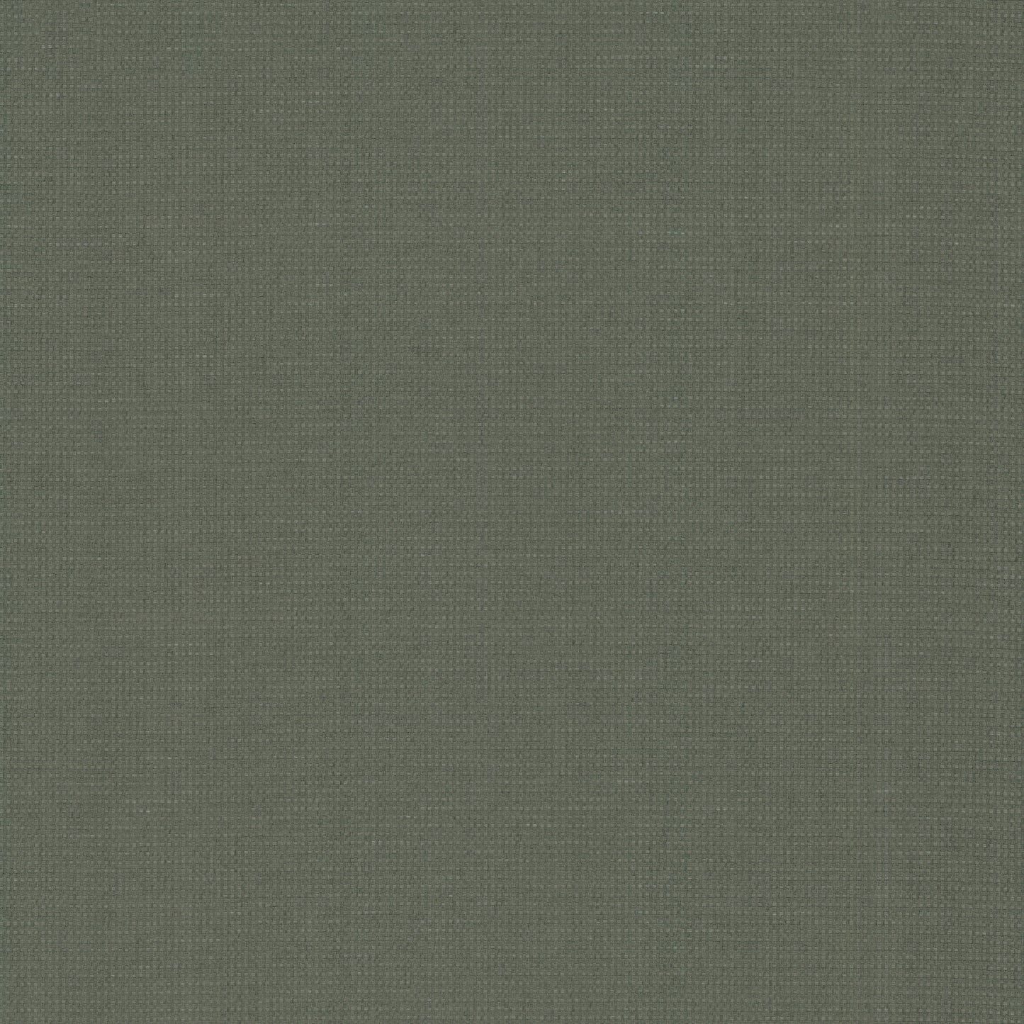 Olive green grasscloth wallpaper sample with a subtle woven texture.