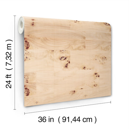 Beige Burlwood natural wood veneer wallpaper with knots and grain; left-edge rolled, 36 in wide by 24 ft long.