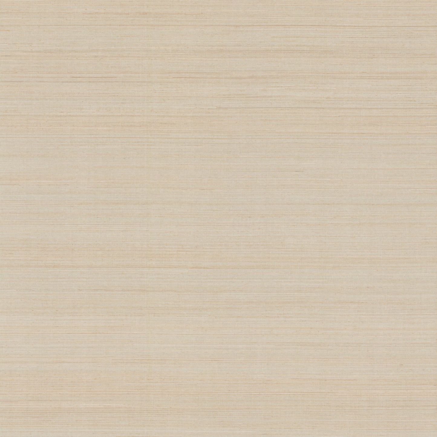 York Wallcoverings Grasscloth and Natural Resource Modern Abaca Dune Wallpaper Traditional Grasscloth Beiges   - GV0272