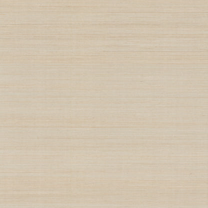 York Wallcoverings Grasscloth and Natural Resource Modern Abaca Dune Wallpaper Traditional Grasscloth Beiges   - GV0272