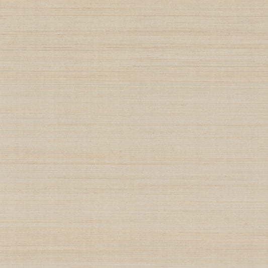 York Wallcoverings Grasscloth and Natural Resource Modern Abaca Dune Wallpaper Traditional Grasscloth Beiges   - GV0272