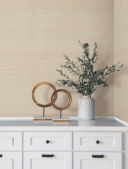 York Wallcoverings Grasscloth and Natural Resource Modern Abaca Dune Wallpaper Traditional Grasscloth Beiges   - GV0272