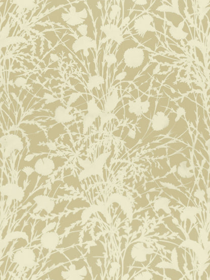 SCALAMANDRE  WILDFLOWER FABRIC OAT   - GW 000116623 NEW SKU # GW166230001