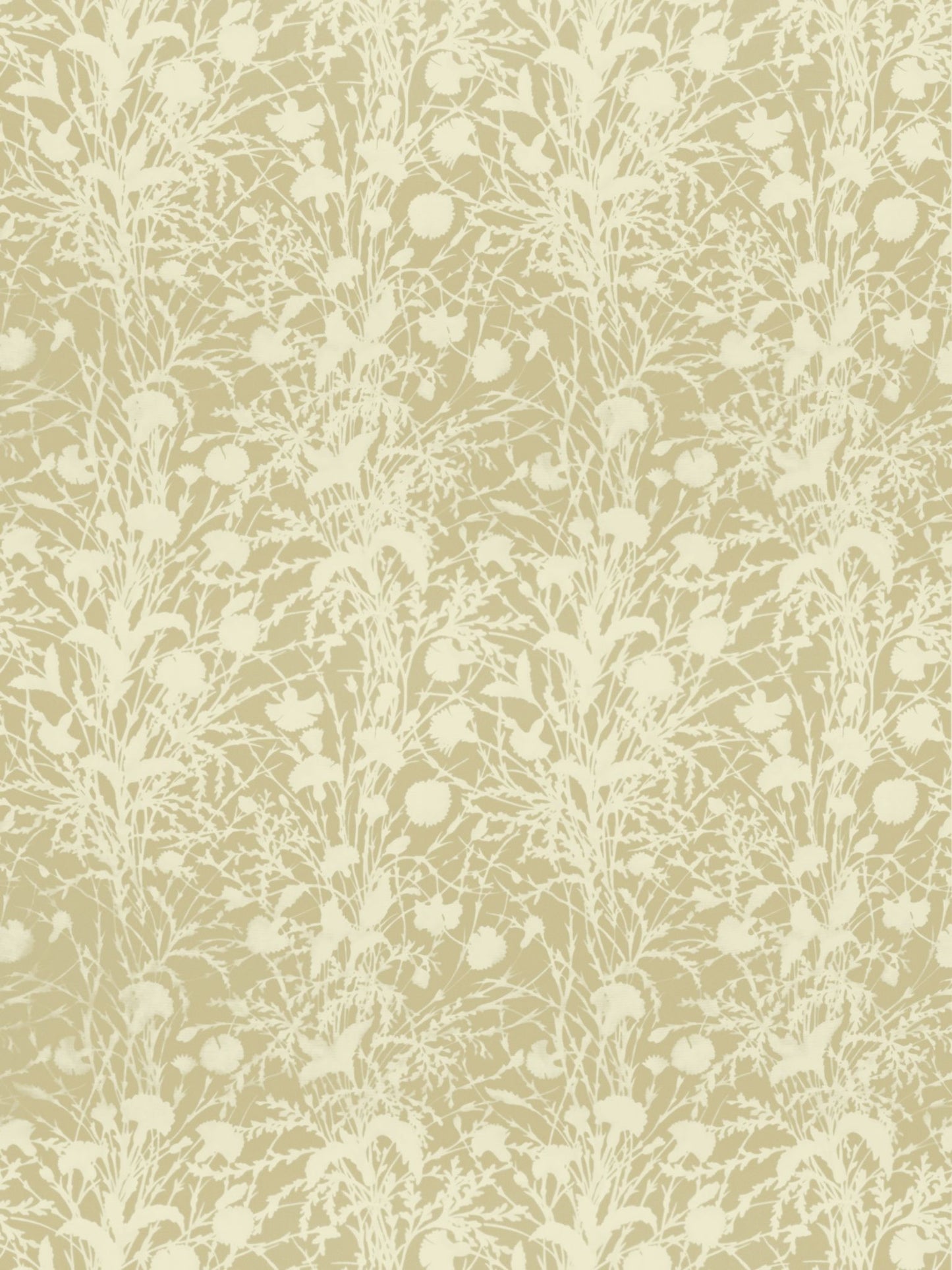 SCALAMANDRE  WILDFLOWER FABRIC OAT   - GW 000116623 NEW SKU # GW166230001