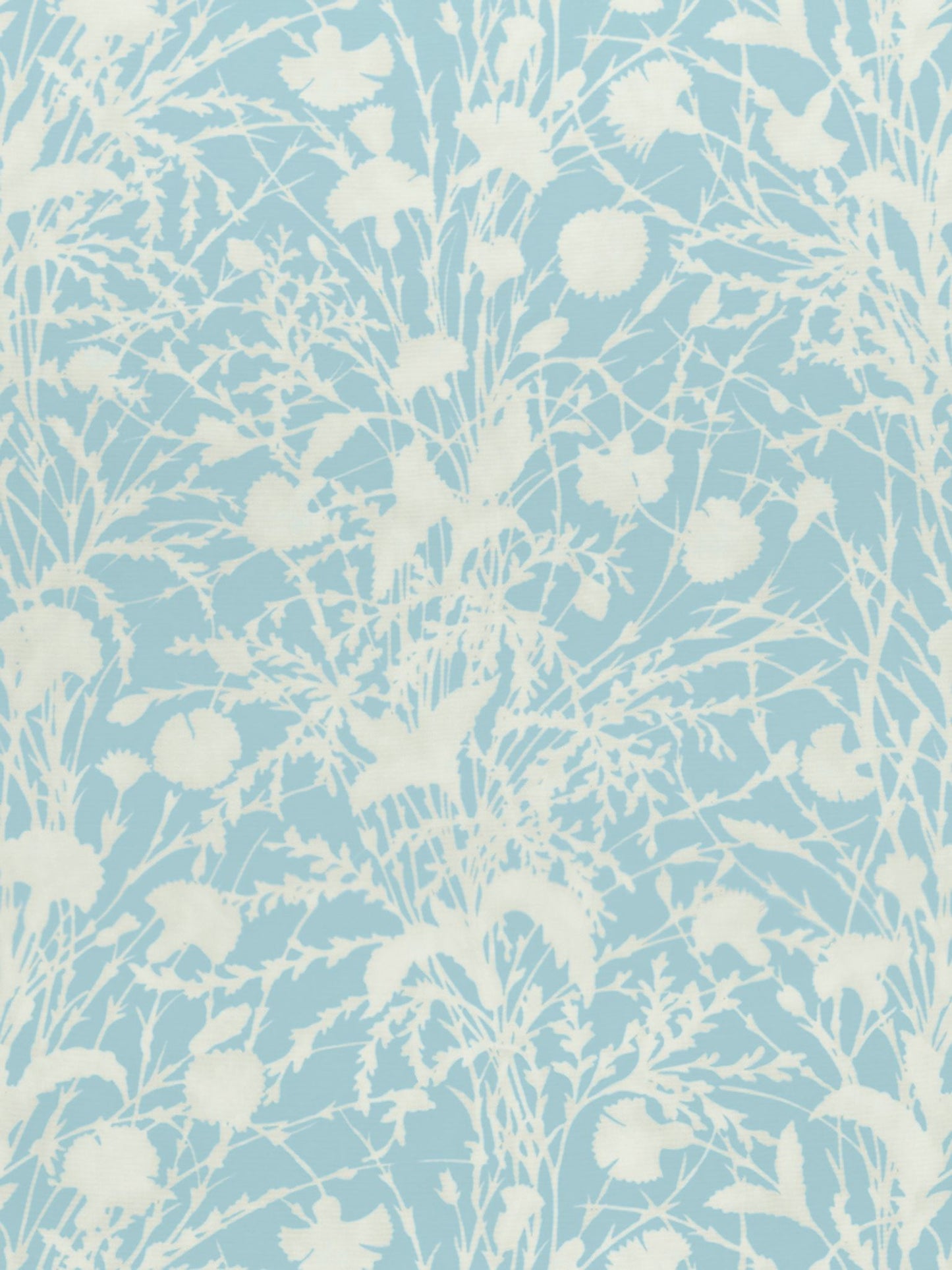 SCALAMANDRE  WILDFLOWER FABRIC MORNING SKY   - GW 000216623 NEW SKU # GW166230002