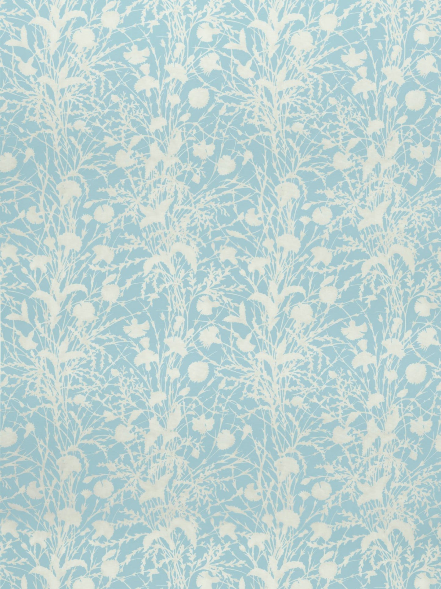 SCALAMANDRE  WILDFLOWER FABRIC MORNING SKY   - GW 000216623 NEW SKU # GW166230002