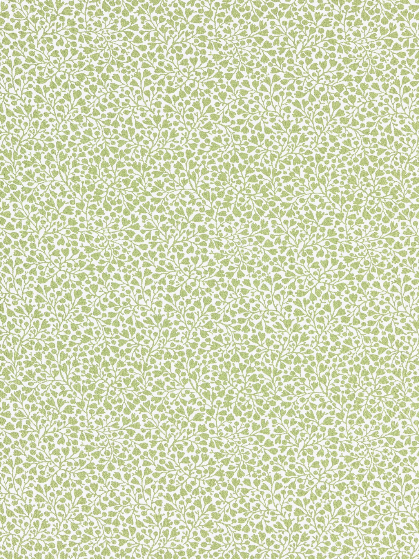 SCALAMANDRE  ELODIE WEAVE FABRIC WILLOW   - GW 000227228