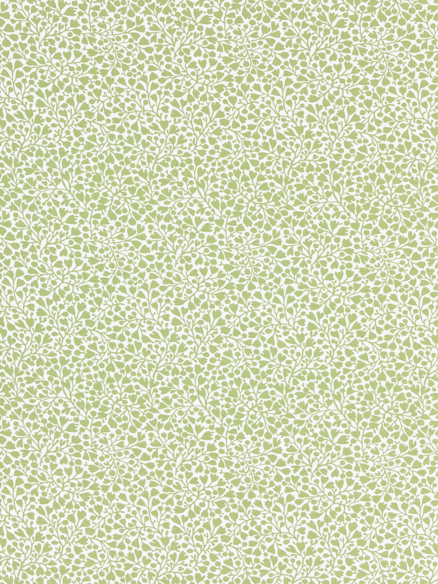 SCALAMANDRE  ELODIE WEAVE FABRIC WILLOW   - GW 000227228