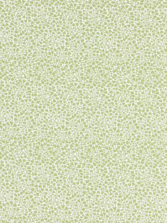 SCALAMANDRE  ELODIE WEAVE FABRIC WILLOW   - GW 000227228