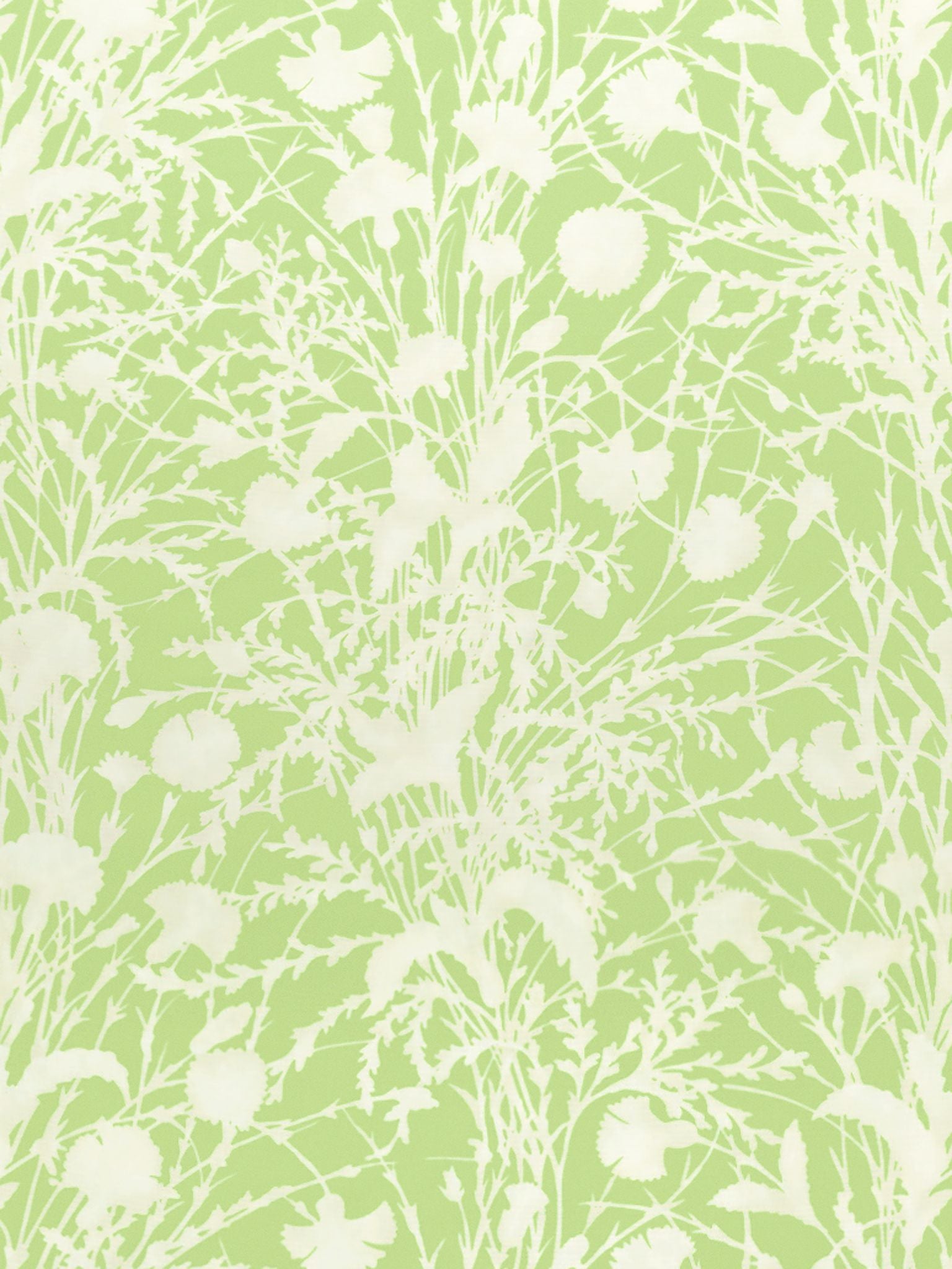 SCALAMANDRE  WILDFLOWER FABRIC GRASSHOPPER   - GW 000316623