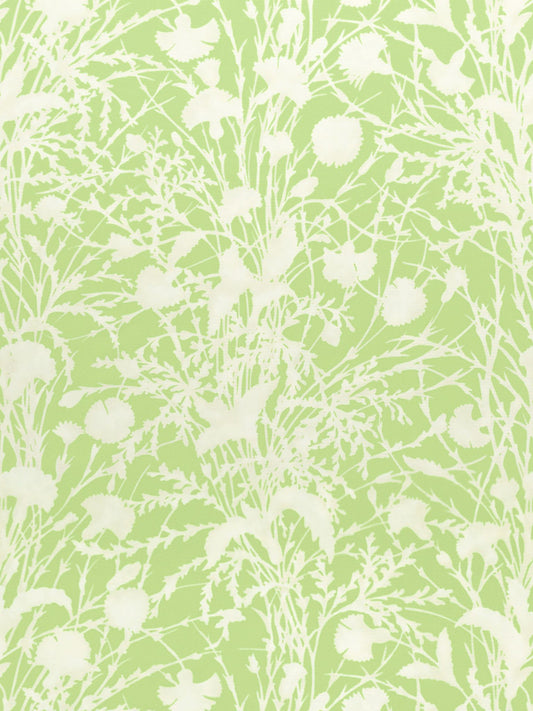 SCALAMANDRE  WILDFLOWER FABRIC GRASSHOPPER   - GW 000316623