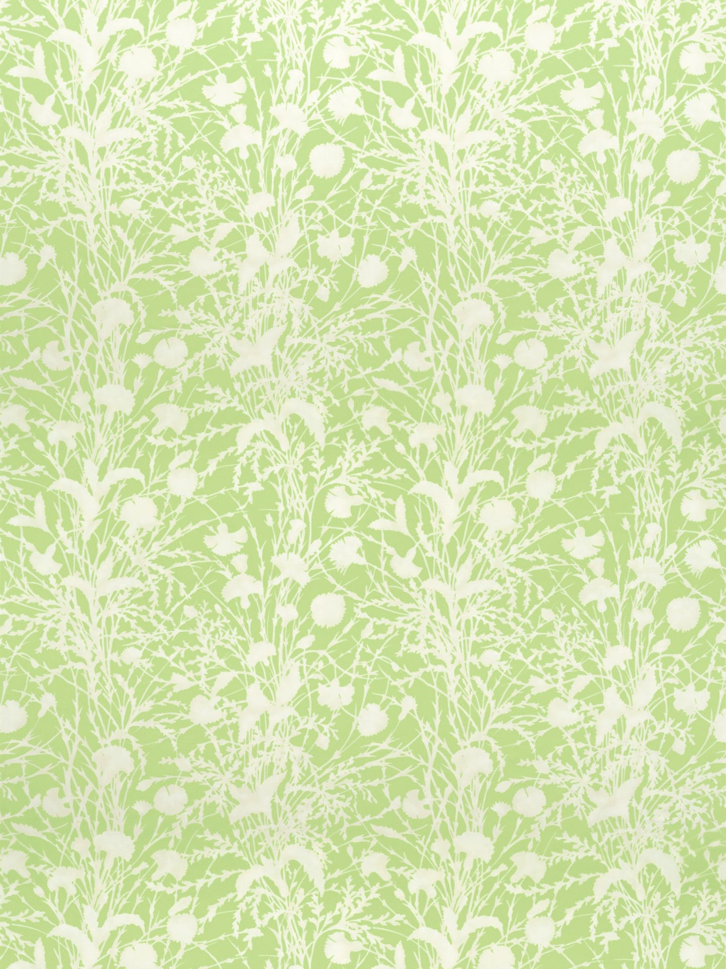 Lime green fabric with white botanical motif of tall grasses and seed heads in a seamless repeating pattern.