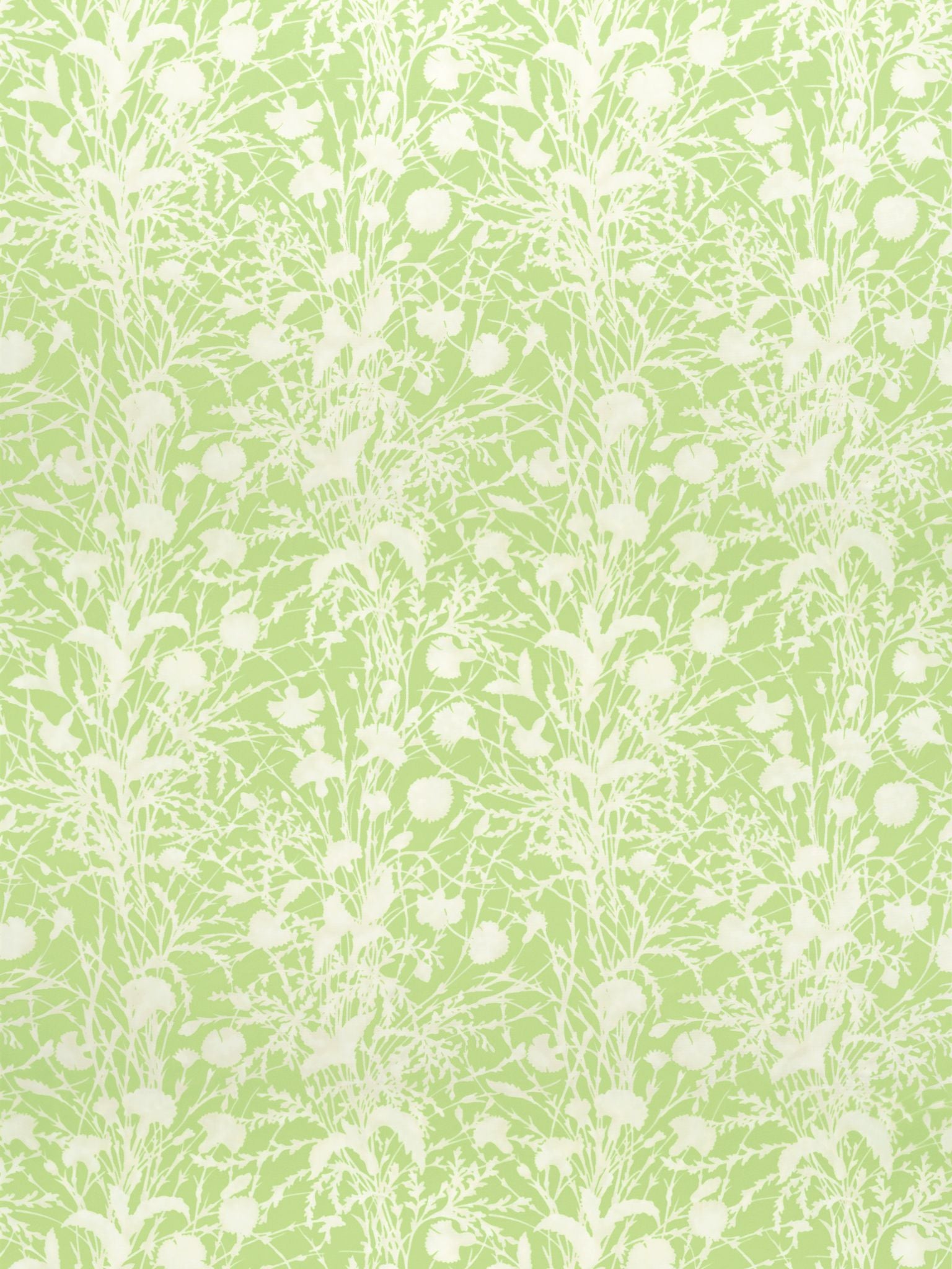 Lime green fabric with white botanical motif of tall grasses and seed heads in a seamless repeating pattern.