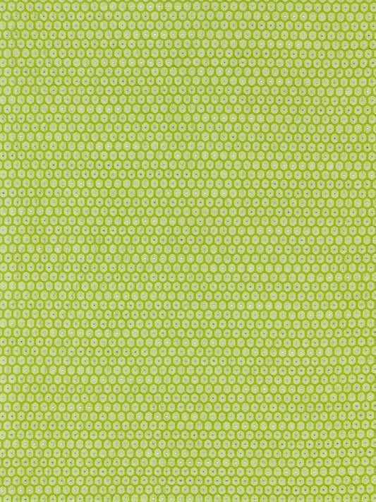 SCALAMANDRE  HONEYCOMB WEAVE FABRIC KIWI   - GW 000327209