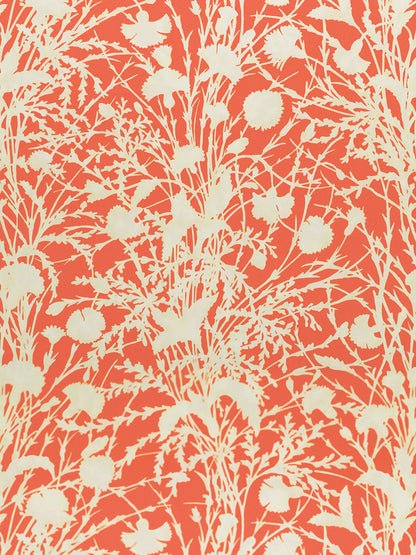 Cream botanical print with flowing stems and seed heads on a guava background for fabric.