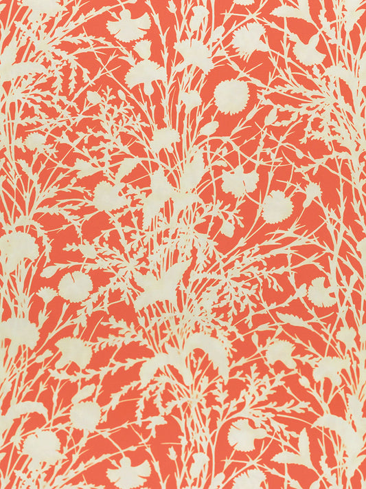 SCALAMANDRE  WILDFLOWER FABRIC GUAVA   - GW 000416623