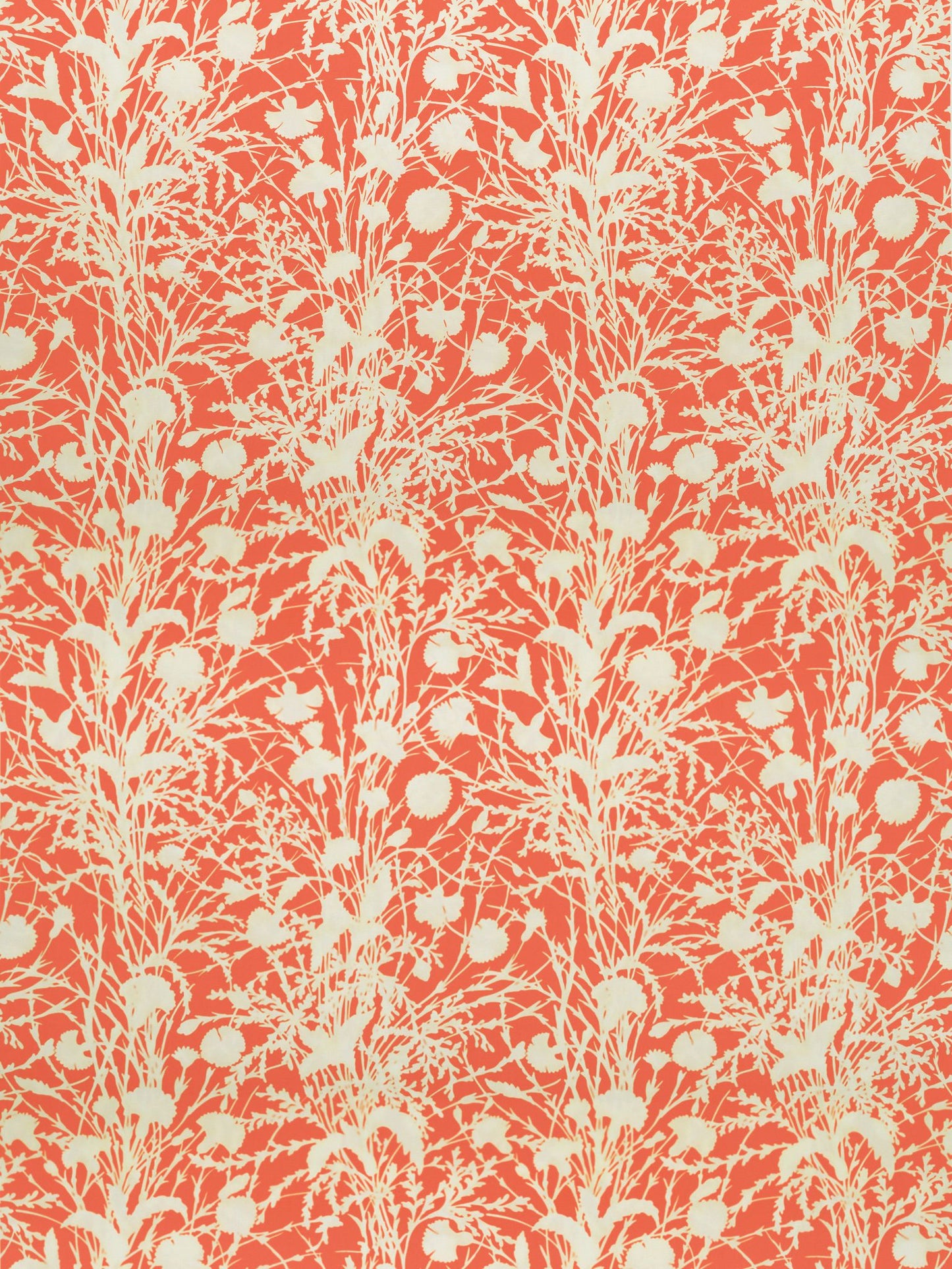 Cream wildflower botanical pattern with tall stems and berry-like shapes on a coral background; fabric pattern.