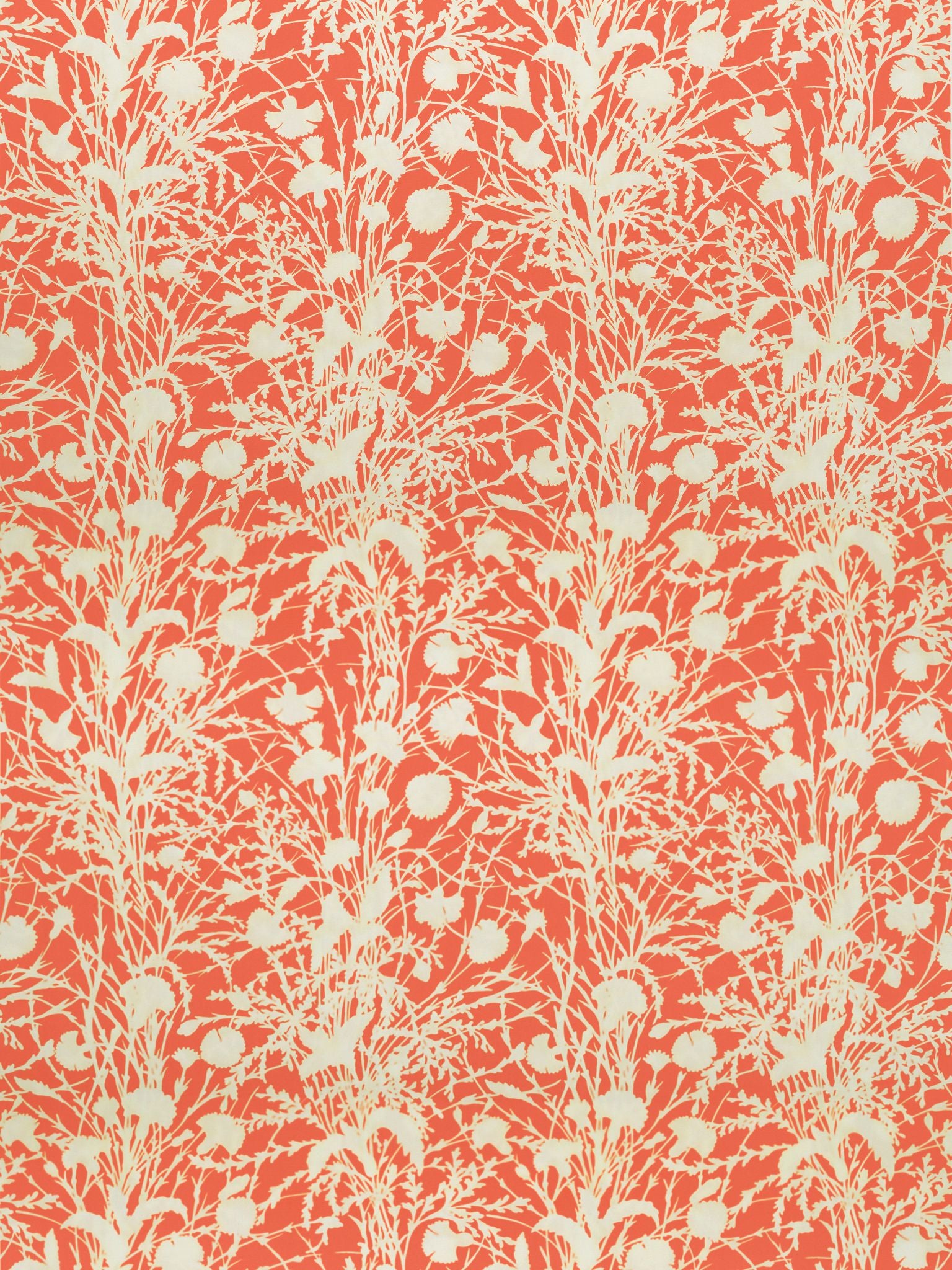 Cream wildflower botanical pattern with tall stems and berry-like shapes on a coral background; fabric pattern.