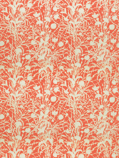 Cream wildflower botanical pattern with tall stems and berry-like shapes on a coral background; fabric pattern.
