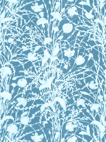 SCALAMANDRE  WILDFLOWER FABRIC BLUEPRINT   - GW 000516623 NEW SKU # GW166230005