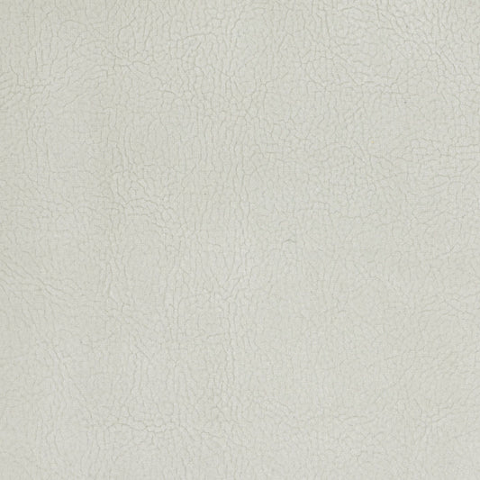 SCALAMANDRE  GEORGIA SUEDE FABRIC GESSO   - H6 37415937